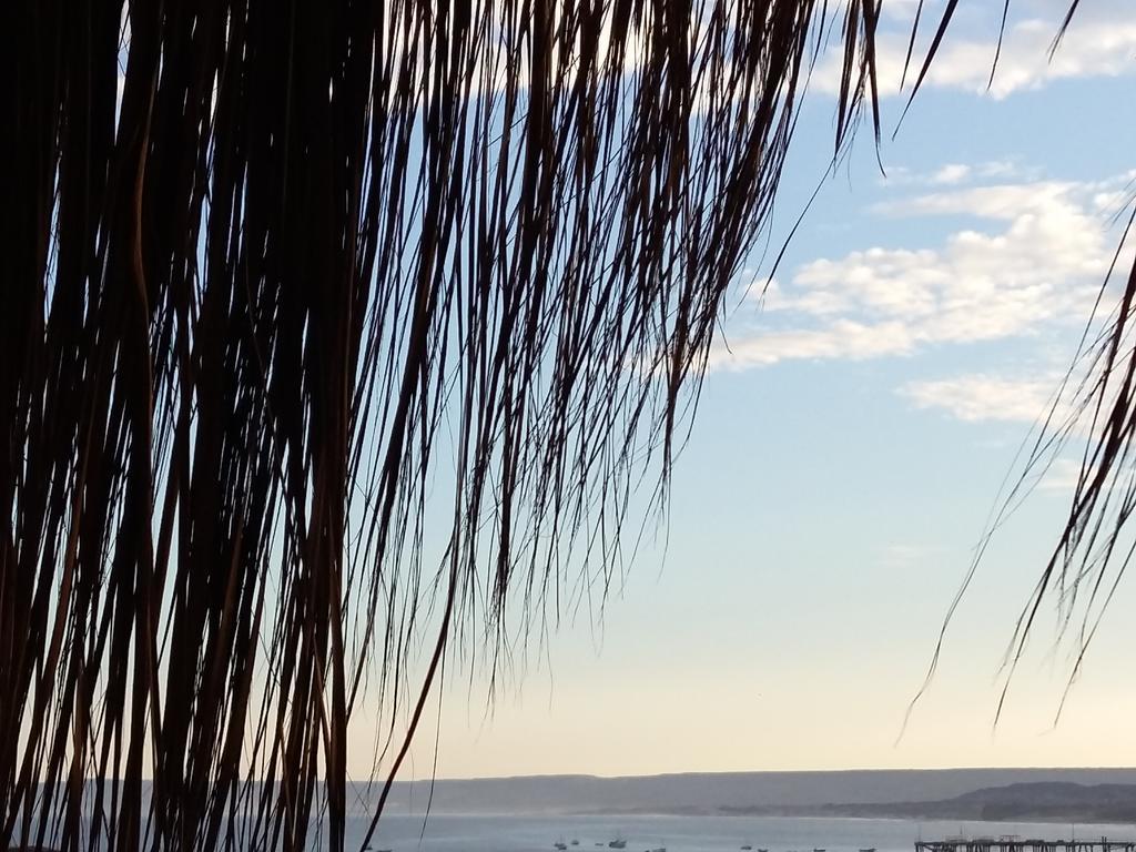 Lapa Lapa Lobitos Bungalows Hotel Екстериор снимка