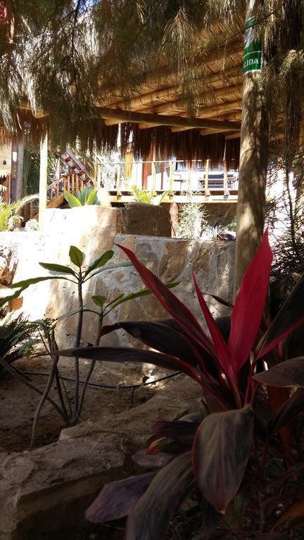 Lapa Lapa Lobitos Bungalows Hotel Екстериор снимка